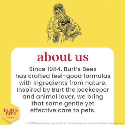 Hypoallergenic Cat Shampoo with Shea Butter and Honey, Gentle Formula for Indoor Cats with Dry or Sensitive Skin, Ph Balanced, Fragrance-Free, 10 Fl Oz - 2 Pack