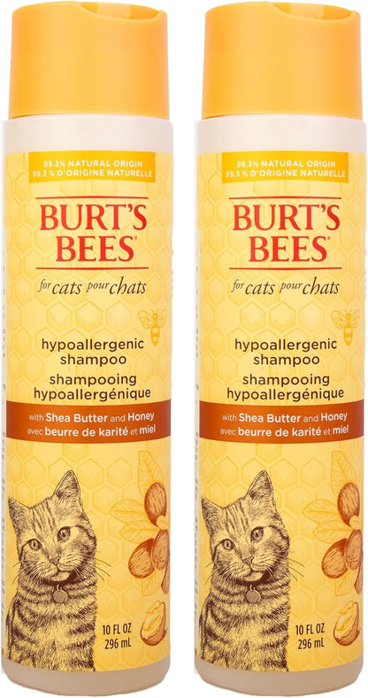 Hypoallergenic Cat Shampoo with Shea Butter and Honey, Gentle Formula for Indoor Cats with Dry or Sensitive Skin, Ph Balanced, Fragrance-Free, 10 Fl Oz - 2 Pack